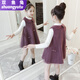 雙魚(yú)兔（SHUAGNYUTU）兒童女童春秋套裝連衣裙新款韓版兒童兩件套背心裙女孩公主裙 紫色(只有裙子) 110