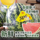 甘美4K站神西瓜戰(zhàn)神無籽無核肉質(zhì)緊實脆甜爽口海南產(chǎn)順豐快遞 6斤 (6-7斤)