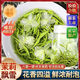 伊孟特級茉莉花茶2025新茶濃香型廣西橫縣茉莉花茶高檔茉莉飄雪全嫩芽 AA品質(zhì)飄雪【高香】250克袋裝