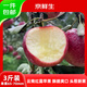 京鮮生 云南昭通紅露蘋果3斤裝 單果65-70mm起 新鮮水果源頭直發(fā)包郵