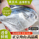 森農(nóng)樂舟山銀鯧魚生鮮特大白鯧魚鮮活野生新鮮冷凍海鮮昌扁魚平魚海魚 150-200g/條【當(dāng)季野生 4條裝】