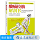 酸痛拉筋解剖書(shū) 肌肉拉伸訓練 精準拉伸基本動(dòng)作 健身鍛煉教程 后浪正版