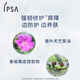 【9成新】茵芙莎（IPSA）清盈倍護防曬乳SPF50+ 30ml白瘦子防曬隔離二合一【煥新升級】