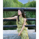 允橘旗袍高級感2025新中式連衣裙裙子女夏季新款顯瘦國風(fēng)改良版長(cháng)裙 翡翠綠琉璃扣蕾絲連衣裙 M 建議90-100斤
