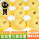 橙小士山東黃元帥蘋(píng)果黃金帥老人吃粉面香蕉蘋(píng)果新鮮水果當季 5斤大果【更大更香甜】