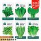 北蔬 蔬菜種子種苗大全生菜香菜菠菜秋季陽臺菜籽 6種葉菜類蔬菜種子