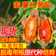 山東正宗地瓜苗不可食蜜薯苗煙薯25哈密西瓜紅山芋地瓜不支持退貨 煙薯苗50顆