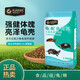海豚龜糧40斤 卡麥高鈣龜糧 巴西龜糧石金龜草龜糧烏龜糧通用龜糧 卡麥 育成龜糧 20kg 3號(hào)