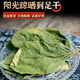同仁堂野生柿葉茶 柿葉霜降后新鮮柿子葉泡水茶包福長水柿子葉 3袋【拍一發(fā)3】45包