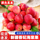 京鮮果營(yíng)自達(dá)新疆香妃海棠果【順豐空運(yùn)—送上門】阿克蘇小蘋果雞心果水果禮盒 3斤家庭裝【單果30-50g】