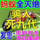 滅螞蟻藥強效全窩端家用無(wú)毒廚房室內野外菜地滅蟻清螞蟻藥一窩端 5包【強力除螞蟻】高效