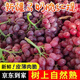 新疆馬奶紅提子新鮮水果吐魯番葡萄脆甜提 3斤