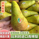 進(jìn)口比利時(shí)啤梨truval 新鮮5斤當(dāng)季水果青梨子啤酒梨糯甜香蕉梨ZZ 5斤