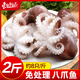 東上御品 國產(chǎn) 三去小章魚(yú)凈重2斤約16只 八爪魚(yú) 去牙去臟 海鮮-源頭直發(fā)
