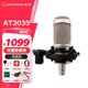 鐵三角（Audio-technica） AT2035直播麥克風(fēng)主播專(zhuān)用 麥克風(fēng)話(huà)筒k歌 主播專(zhuān)業(yè)錄音話(huà)筒 專(zhuān)業(yè)設備 電腦麥克風(fēng)聲卡調試 AT2035金色+懸臂支架【贈1V1調音】