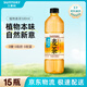 三得利大麥茶 0糖0脂0能量 植物茶麥茶飲料 500ml*15瓶 整箱裝