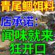 青尾鲴專(zhuān)用餌料專(zhuān)攻青尾黃尾紅尾鲴魚(yú)野釣黑坑四季通殺打窩料小藥 1瓶裝【誘魚(yú)小藥】