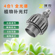 澤農(nóng)ZenoLUX 植物補(bǔ)光燈 四合一全光譜 PAR30 多肉蝴蝶蘭龜背竹等 變焦PAR30/4000K/30W/15°~60°