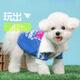 ISPET寵物衣服秋冬裝毛衣泰迪比熊小型犬柴犬西高地長毛領開衫毛衣 藍色 L 建議體重10-16斤