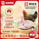 溫潤(rùn)食品廣東清遠(yuǎn)雞母雞2斤 國(guó)家地理標(biāo)志產(chǎn)品 138天 散養(yǎng)土雞走地雞整只