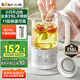 小熊（Bear）迷你養(yǎng)生杯養(yǎng)生壺煮茶器 316不銹鋼辦公室家用便攜煮茶壺恒溫燒水壺小型花茶壺0.6升YSH-E06H1