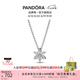潘多拉（PANDORA）閃耀花朵標(biāo)本吊墜項(xiàng)鏈頸飾璀璨簡約七夕情人節(jié)禮物送女友 392387C01 45CM