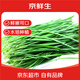 京鮮生北京鮮嫩窄葉韭菜凈重1000g 新鮮蔬菜 時(shí)令生鮮 源頭直發(fā) 