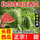 【順豐】北京 大興龐各莊小西瓜L600 牛奶袖珍新鮮水果 人工精選 2顆裝【凈重5-6斤～順豐包郵】