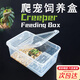 爬寵飼養盒蝸牛蜘蛛角蛙烏龜樹(shù)棲躲避兩棲爬蟲(chóng)飼養箱昆蟲(chóng)飼養盒 兩棲爬蟲(chóng)飼養盒 小號