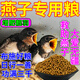跑來跑去燕子飼料幼鳥崽救助食物燕科灰燕鸻家燕鳳頭雨燕吃的糧食面包蟲干 500g 1袋 【燕子超愛吃】