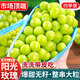 京地達(dá)江蘇陽光玫瑰葡萄晴王青提凈重3.8斤單果10g新鮮水果源頭直發(fā)包郵