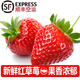 諸氏橙品【空運】草莓 奶油草莓紅顏/白玉草莓孕婦當季新鮮水果多地次日配 紅草莓2盒，15粒/盒，單果20g+