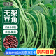 花沃里無架豆角種子約100粒 蔬菜種子四季菜籽陽臺種植盆栽辦公庭院田間