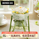 若客（ROKR）花間集白山茶 積木花束diy手工拼裝永生花玩具生日禮物創(chuàng  )意擺件
