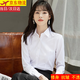 麓格立長(cháng)袖襯衫女士襯衣正裝商務(wù)修身職業(yè)工裝免燙襯衣女白色工作服 白色長(cháng)袖襯衫L【建議100-110斤】
