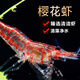 熱帶觀(guān)賞蝦活體淡水寵物黑殼蝦水晶蝦櫻花蝦草缸除藻蝦工具蝦包郵 特惠：小櫻花蝦10只送5只備損