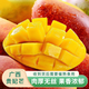 趣嘗鮮廣西貴妃芒 7.5斤裝200g+ 生鮮水果源頭直發(fā)（需18℃以上3-5天）