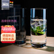 肖特圣維莎（SCHOTT ZWIESEL） 德國原裝進(jìn)口 無(wú)鉛水晶玻璃水杯 泡綠茶玻璃杯明前龍井茶杯 安全 370ML單只