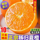 食懷正宗秭歸夏橙臍橙新鮮橙子10斤大果榨汁專用當(dāng)季整箱甜橙湖北水果 9斤 【精品大果裝】+彩箱