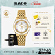 雷達（RADO）瑞士手表庫克船長機械女表設(shè)計師款金虹庫克畢業(yè)禮物
