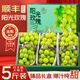 靜羽陽(yáng)光玫瑰葡萄青提【順豐-多地次日達(dá)】四川晴王香印提子水果禮盒 禮盒裝5斤【送禮推薦】單粒12-20g 商超級(jí)優(yōu)選果丨高品質(zhì)