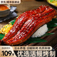 漁游記蒲燒鰻魚精品日式整條即食烤鰻魚飯活鰻烤制含料汁 蒲燒鰻魚3斤 500g*3條裝