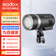 神牛（Godox） AD300PRO外拍閃光燈大功率戶外人像影棚攝影燈TTL高速測光鋰電補光燈 AD300pro 官方標(biāo)配