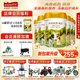 海普諾凱1897【6兌1】荷致學(xué)生兒童成長(zhǎng)配方奶粉4段800g荷蘭原罐進(jìn)口（3-6歲） 新包裝800G*6罐（3-6歲適用）