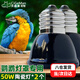 茨格曼鸚鵡保溫燈加熱燈鳥籠保暖器幼鳥過冬用品玄鳳鸚鵡保溫燈罩暖燈 100W陶瓷燈*2個裝