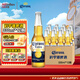 科羅娜（CORONA）墨西哥風(fēng)味拉格特級啤酒 黃啤 露營酒 科羅娜 330mL 12瓶