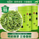 徽將軍綠茶2025新茶安徽黃山毛峰明前共250g送人自己喝 蘭香小芽毛峰