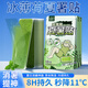 京悠雨日本薄荷冰涼貼解暑神器小學(xué)生夏日冰貼軍訓(xùn)物理手機(jī)散熱貼清涼貼 小號(hào)10片【冰感薄荷貼】體感降11℃