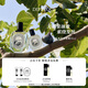 蒂普提克（Diptyque）希臘無花果香調發(fā)香噴霧30ml 香氛禮盒 生日禮物送女友