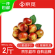 京覓陜西大荔冬棗頭茬精品大果 單果22g-25g 凈重2斤 包郵源頭直發(fā)